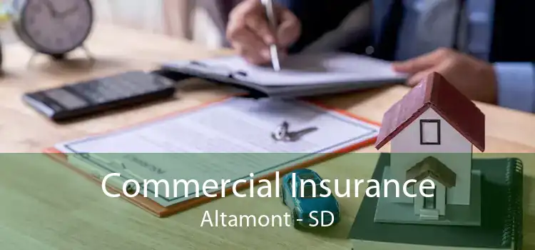 Commercial Insurance Altamont - SD